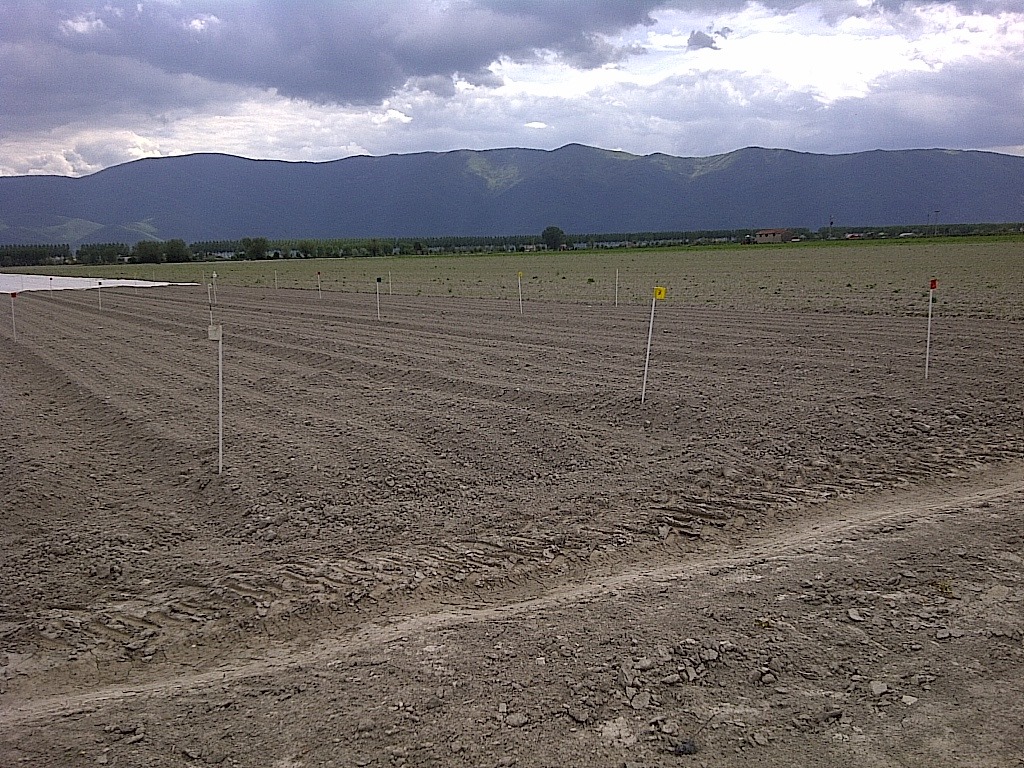 Terreno preparato nella conca del Fucino