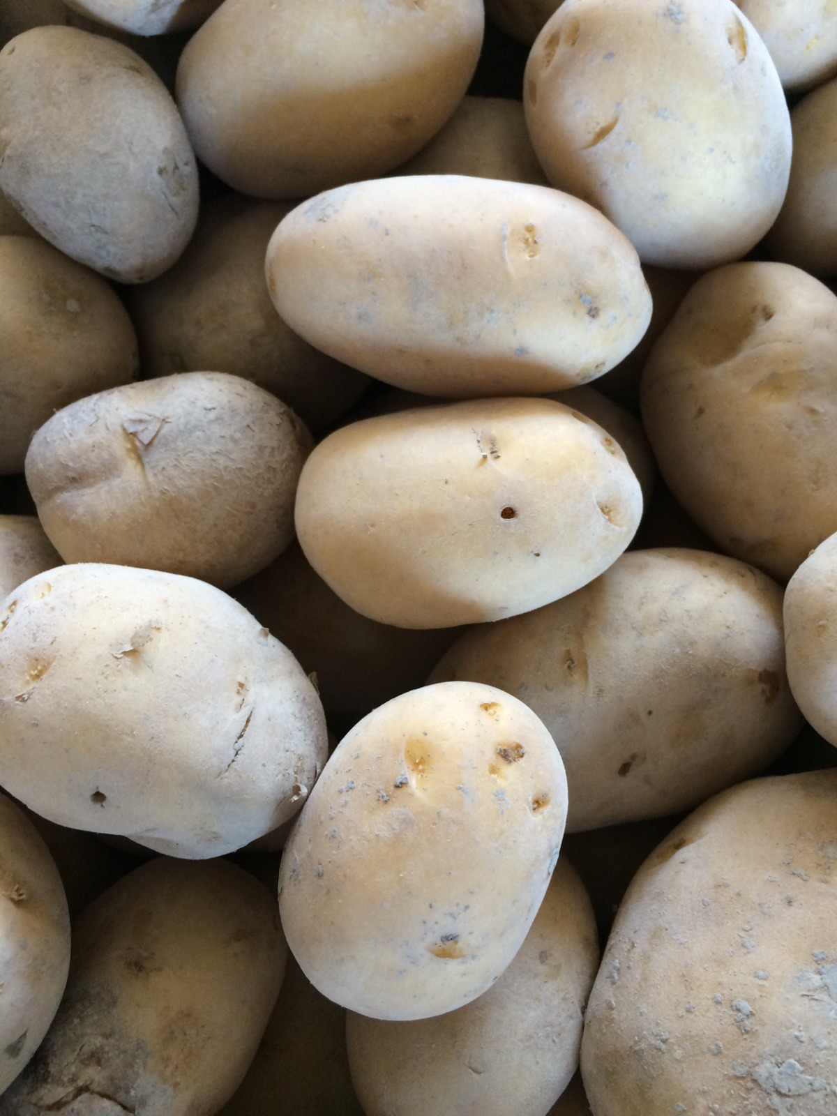 Patate del Fucino IGP
